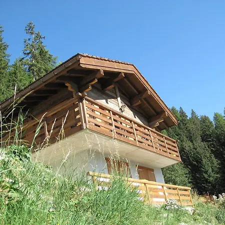 Amos Domek alpejski Grimentz